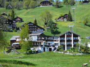 Гостиница Hotel Restaurant Cristal, Браунвальд